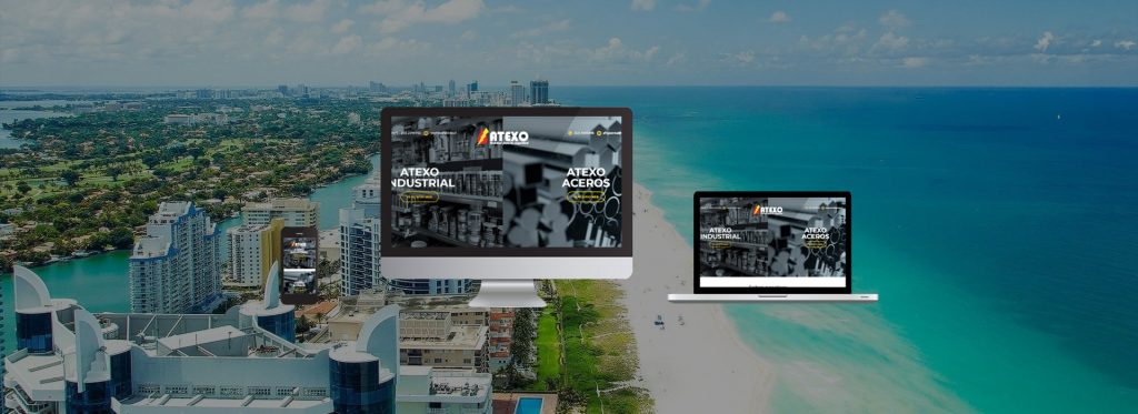 website design service, miami